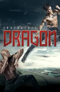 The Invincible Dragon (2019) BluRay Dual Audio {Hindi-Chinese} 480p [350MB] | 720p [1GB] | 1080p [1.9GB]
