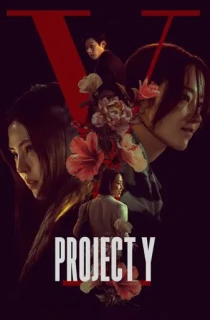 Project Y (2026) WEB-DL Multi Audio [Hindi ORG. + Korean + Tamil + Telugu] Full Movie 480p | 720p | 1080p