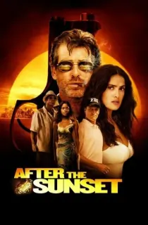 After the Sunset (2004) BluRay Dual Audio [Hindi ORG. + English] Full Movie 480p | 720p | 1080p