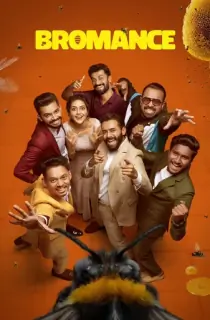 Bromance (2025) Multi Audio [Hindi ORG. + Tamil + Telugu + Malayalam] Full Movie WEB-DL 480p [600MB] | 720p [1.5GB] | 1080p [2.7GB] | 2160p 4K [8.5GB]
