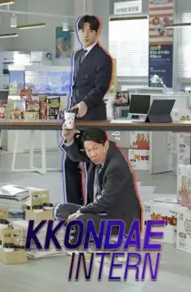 Kkondae Intern (Season 1) Hindi Dubbed Complete Korean Drama Series 480p [200MB] | 720p [500MB]