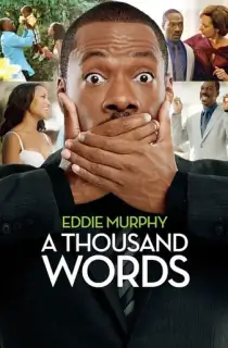 A Thousand Words (2012) BluRay Dual Audio [Hindi ORG. + English] Full Movie 480p | 720p | 1080p