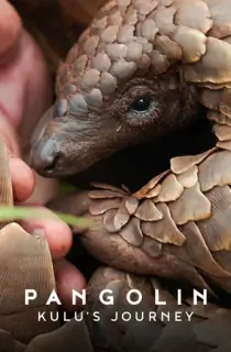 Pangolin: Kulu’s Journey (2025) Dual Audio [Hindi ORG. + English] Full Movie WEB-DL 480p [400MB] | 720p [1.2GB] | 1080p [2.6GB]