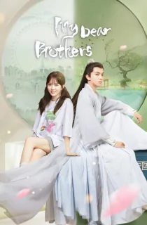 My Dear Brothers (Season 1) Complete Hindi Dubbed Series 720p [300MB] WEB-DL