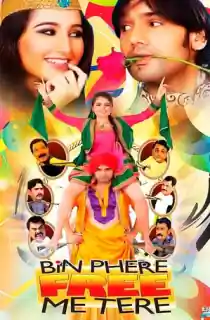 Bin Phere Free Me Tere (2013) WEB-DL Hindi Full Movie 480p | 720p | 1080p