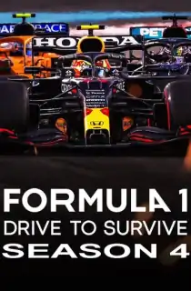 Formula 1: Drive to Survive (2022) Season 4 Dual Audio {Hindi-English} 480p | 720p WEB-DL