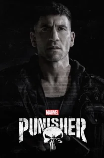 The Punisher (Season 1) Dual Audio [Hindi (Studio Dub) + English] Complete WEB Series 480p | 720p | 1080p WEB-DL