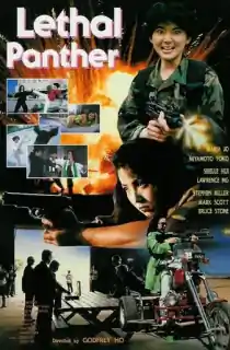 Lethal Panther (1990) BluRay Dual Audio [Hindi ORG. + English] Full Movie 480p | 720p | 1080p