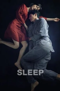 Sleep (2023) WEB-DL Multi Audio [Hindi ORG. + Korean + Tamil + Telugu] 480p [550MB] | 720p [1.3GB] | 1080p [2.9GB]