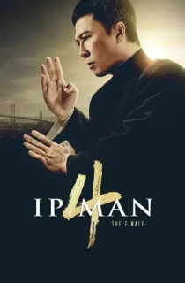 Ip Man 4: The Finale (2019) BluRay Dual Audio [English + Chinese] Full Movie 480p | 720p | 1080p