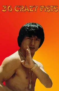 The 36 Crazy Fists – Jackie Chan And The 36 Crazy Fists (1977) WEB-DL Dual Audio [Hindi ORG. + English] Full Movie 480p [300MB] | 720p [850MB] | 1080p [1.8GB]