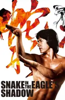 Snake in the Eagles Shadow (1978) Dual Audio {Hindi-Chinese} 480p [300MB] | 720p [1GB] | 1080p [2GB]