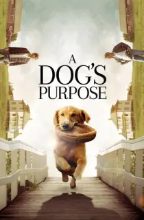 A Dog’s Purpose (2017) BluRay [English With Subtitles] Full Movie 480p | 720p | 1080p
