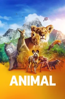 Netflix Animal (Season 1-2) Dual Audio {Hindi-English} 480p [500MB] | 720p [1GB] HDRip