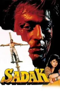 Sadak (1991) WEB-DL Hindi Full Movie 480p | 720p | 1080p