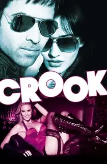 Crook: It’s Good to Be Bad (2010) Hindi Full Movie WEB-DL 480p | 720p | 1080p