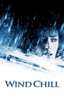 Wind Chill (2007) BluRay Dual Audio [Hindi ORG. + English] Full Movie 480p | 720p | 1080p