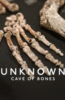Unknown: Cave of Bones (2023) Dual Audio {Hindi-English} WEB-DL 480p [310MB] || 720p [850MB] || 1080p [2GB]
