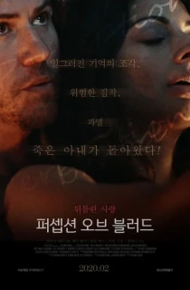 Perception (2018) BluRay Dual Audio [Hindi ORG. + English] Full Movie 480p [350MB] | 720p [1GB] | 1080p [1.7GB]