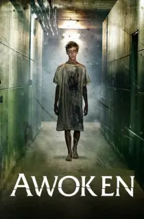 Awoken (2009) Dual Audio {Hindi-English} 480p [300MB] | 720p [800MB] | 1080p [1.8GB]