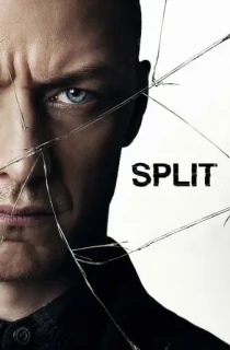 Split (2016) BluRay Dual Audio [Hindi ORG. + English] Full Movie 480p [400MB] | 720p [1GB] | 1080p [2.3GB]