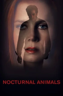Nocturnal Animals (2016) BluRay Dual Audio {Hindi-English} 480p [380MB] | 720p [1.3GB] | 1080p [2.4GB]
