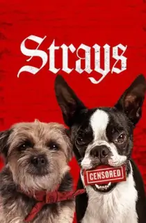 Strays (2023) BluRay Dual Audio {Hindi-English} 480p [300MB] | 720p [850MB] | 1080p [2GB]