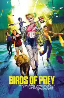 Birds of Prey (2020) BluRay Dual Audio {Hindi-English} 480p [500MB] | 720p [1.2GB] | 1080p [2.4GB]