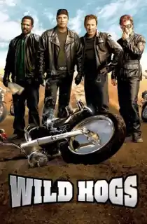 Wild Hogs (2007) BluRay Dual Audio [Hindi-English] 480p [340MB] | 720p [750MB] | 1080p [2GB]