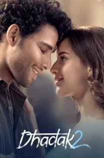 Dhadak 2 (2025) NF WEB-DL Hindi Full Movie 480p [350MB] | 720p [1.1GB] | 1080p [2.2GB] | 2160p 4K [18.1GB]