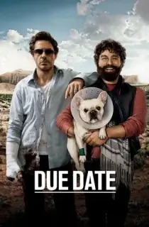 Due Date (2010) BluRay Dual Audio [Hindi ORG. + English] Full Movie 480p [450MB] | 720p [1GB] | 1080p [2.5GB]