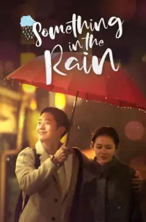 Something in the Rain (2018) Season 1 Dual Audio [Hindi + Korean] Complete Kdrama WEB Series WEB-DL 720p | 1080p
