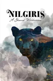Nilgiris – A Shared Wilderness (2026) WEB-DL Multi Audio [Hindi ORG. + English + Tamil + Telugu + Kannada] Full Movie 480p | 720p | 1080p