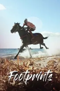 Footprints (2021) Hindi HP WEB-DL 480p [220MB] | 720p [810MB] | 1080p [2.2GB]