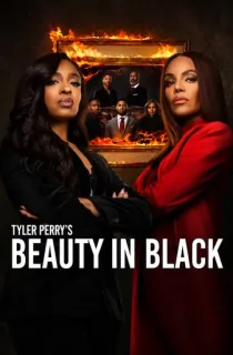 Beauty in Black (Season 1-3) Multi Audio [Hindi ORG. + English + Tamil + Telugu] Complete NetFlix Original WEB Series 480p | 720p | 1080p WEB-DL