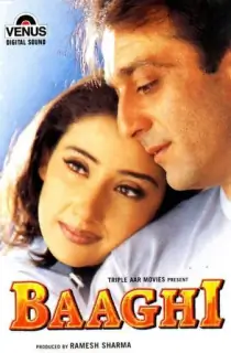 Baaghi (1999) WEB-DL Hindi Full Movie 480p | 720p | 1080p