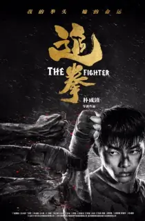 The Fighter (2019) Dual Audio [Hindi + Chinese] WeB-DL 480p [300MB] | 720p [760MB] | 1080p [1.2GB]