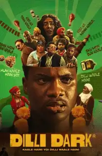 Dilli Dark (2025) Hindi Full Movie WEB-DL 480p | 720p | 1080p