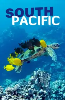 South Pacific (2023) Season 1 Complete Dual Audio {Hindi-English} Netflix Original WEB Series 720p | 1080p WEB-DL