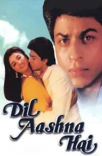 Dil Aashna Hai (…The Heart Knows) (1992) HDRip Hindi Full Movie 480p | 720p | 1080p