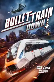 Bullet Train Down (2022) BluRay Multi Audio [Hindi ORG. + English + Tamil] Full Movie 480p [350MB] | 720p [1GB] | 1080p [1.7GB]